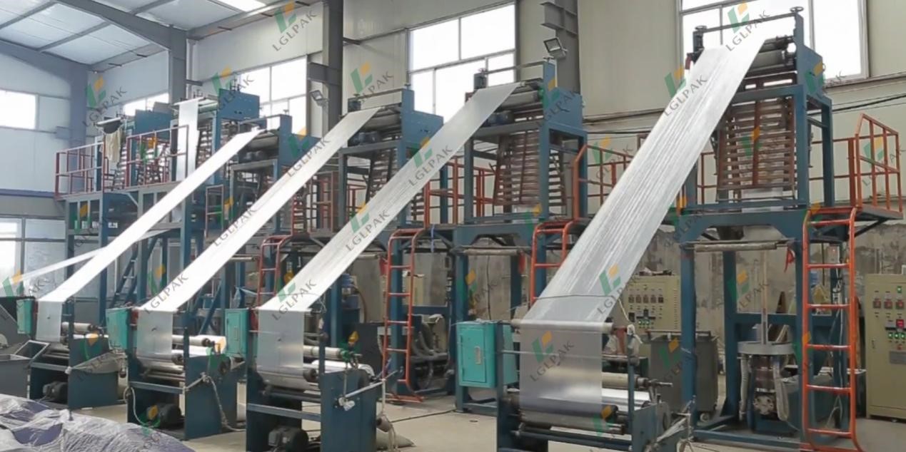 Workshop & Production Line