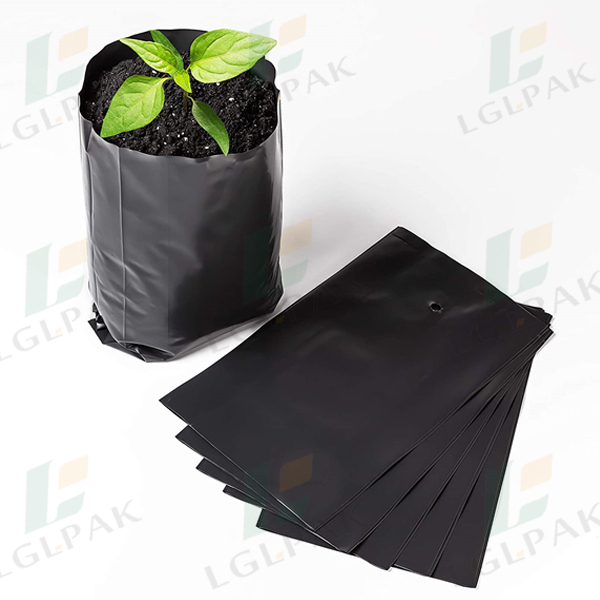 grow bag - plant